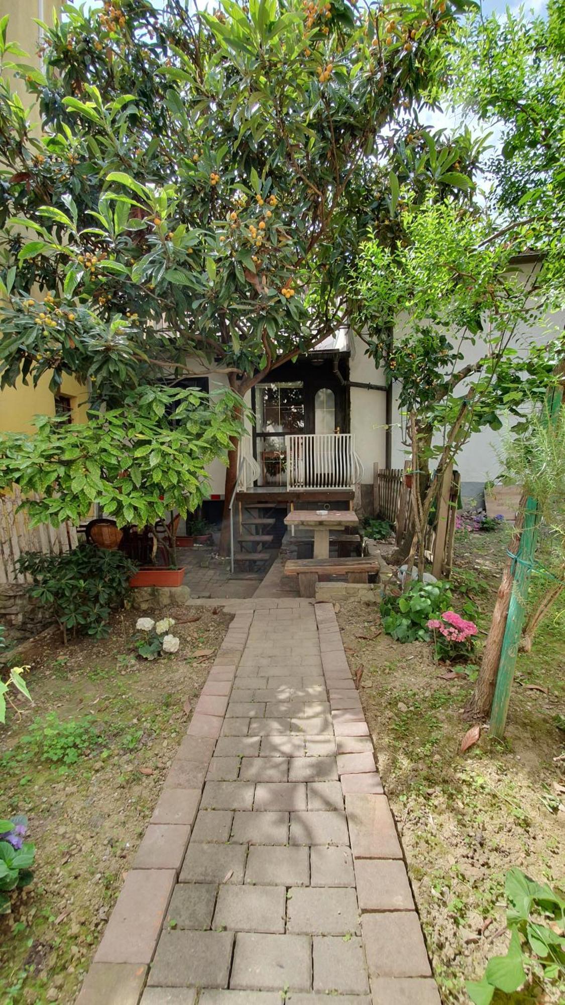 Apartmaji Mila Piranアパートメント エクステリア 写真